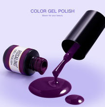 Load image into Gallery viewer, Gel Nail Polish Set