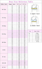 Load image into Gallery viewer, Big Breasted Bra