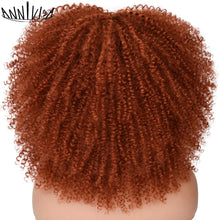 Load image into Gallery viewer, Curly Afro Wigs