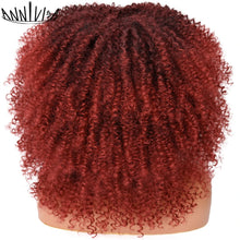 Load image into Gallery viewer, Curly Afro Wigs