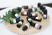 Load image into Gallery viewer, 18 PCS Perfume Aromatherapy Essential Oil
