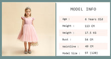 Load image into Gallery viewer, Flower Girl Tulle Dress