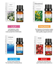 Load image into Gallery viewer, 18 PCS Perfume Aromatherapy Essential Oil