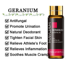 Load image into Gallery viewer, 43905682669824