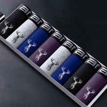 Load image into Gallery viewer, 44809129558272|44809129591040|44809129689344|44809129754880|44809129787648