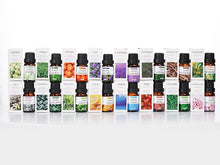 Load image into Gallery viewer, 18 PCS Perfume Aromatherapy Essential Oil