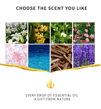 Load image into Gallery viewer, 18 PCS Perfume Aromatherapy Essential Oil