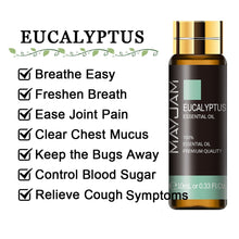 Load image into Gallery viewer, 43905682145536