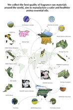 Load image into Gallery viewer, Pure Fruit Flower Aroma Fragrance