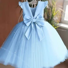 Load image into Gallery viewer, Flower Girl Tulle Dress