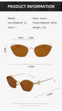 Load image into Gallery viewer, Small Frame Fashionable Simple & Trendy Sunglasses