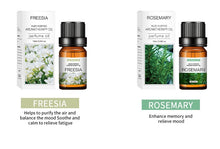 Load image into Gallery viewer, 18 PCS Perfume Aromatherapy Essential Oil