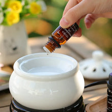 Load image into Gallery viewer, 18 PCS Perfume Aromatherapy Essential Oil