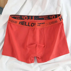10Pcs/Men's Hello Cotton Underwear