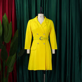 Notched Collar Full Sleeve Sashes Pleated Dress