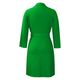 Notched Collar Full Sleeve Sashes Pleated Dress