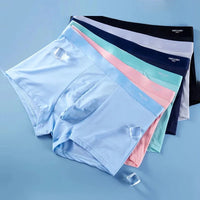 2 & 4Pcs Men's Ice Silk Briefs