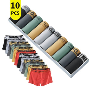 10Pcs Men's Underwear Briefs