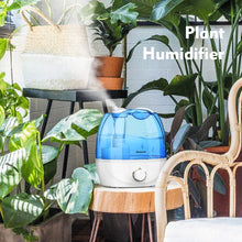 Load image into Gallery viewer, Aromacare Cool Mist Air Humidifier
