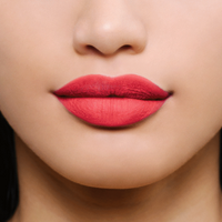 Nu Colour POWERlips Fluid Matte